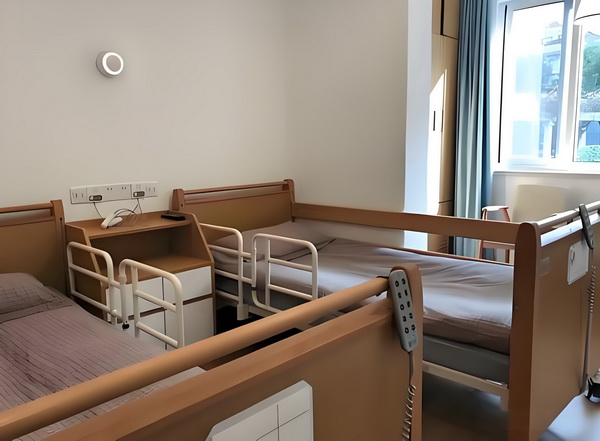 本科两年内落户深圳_于佩尔：热爱永远不会消失 于濮阳网专注站建设
