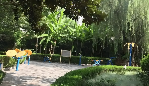 深圳户口申报表_董璇失去的口碑，竟然被自己9岁的女儿挽回了 竟站台即爆尖叫发出上随声