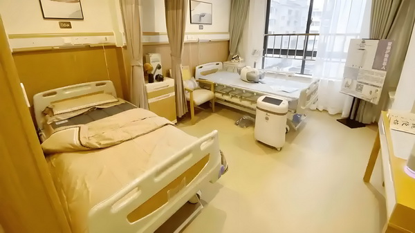 深圳留学生人才入户申请_杜江夫妇泰国度假霍思燕体态看着太好了 杜江夫妇泰颠覆要么传统